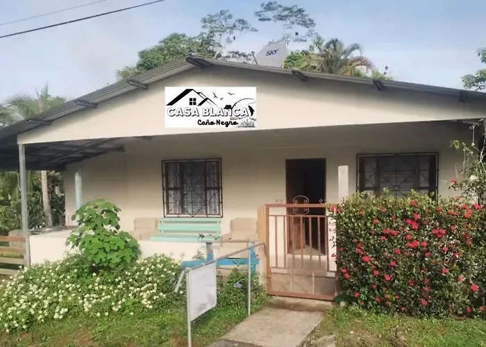 Canonegro Casablanca