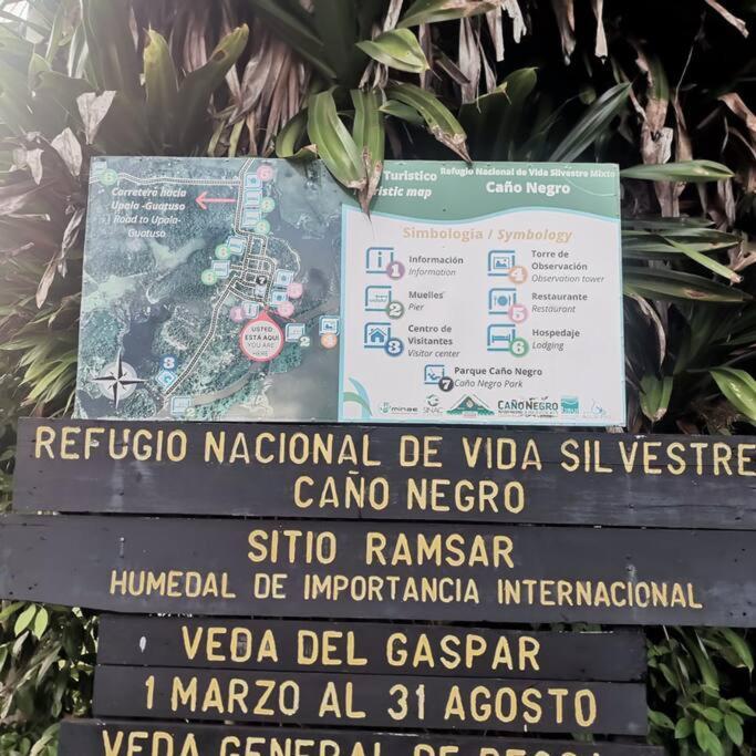 Canonegro Casablanca