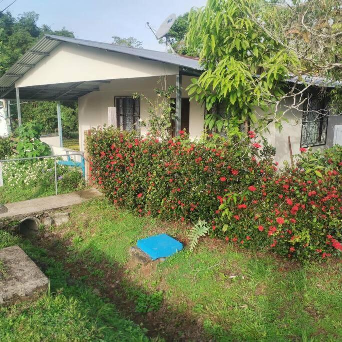 Canonegro Casablanca Holiday home
